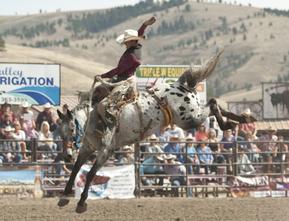 COWBOY RODEO